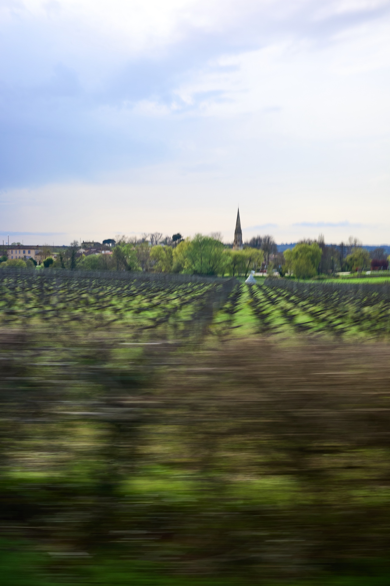 Sauternes